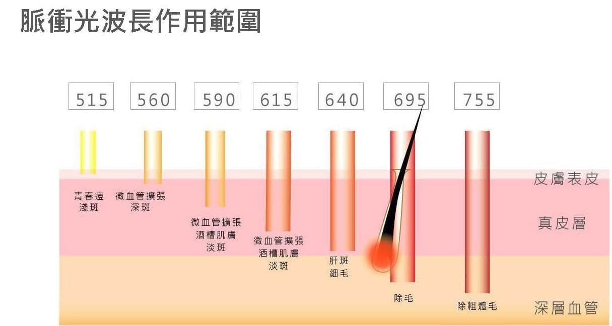 脈衝光波長作用範圍圖表，以 515 至 755 波長柱狀圖對應皮膚表皮、真皮層及深層血管，並標示青春痘淺斑、微血管擴張等範圍。