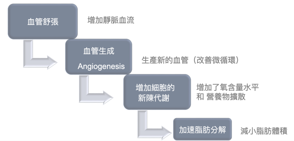 灰色流程圖以四個方塊及箭嘴由左上至右下順序顯示血管舒張、血管生成、增加細胞的新陳代謝及加速脂肪分解，每項旁邊附有說明文字