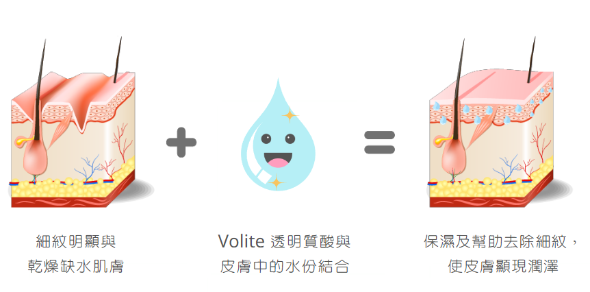 皮膚橫切面示意圖，左邊為乾燥缺水、細紋明顯的肌膚，中間有一個水滴卡通圖示，右邊為水分較充足的肌膚，下方配中文字說明。