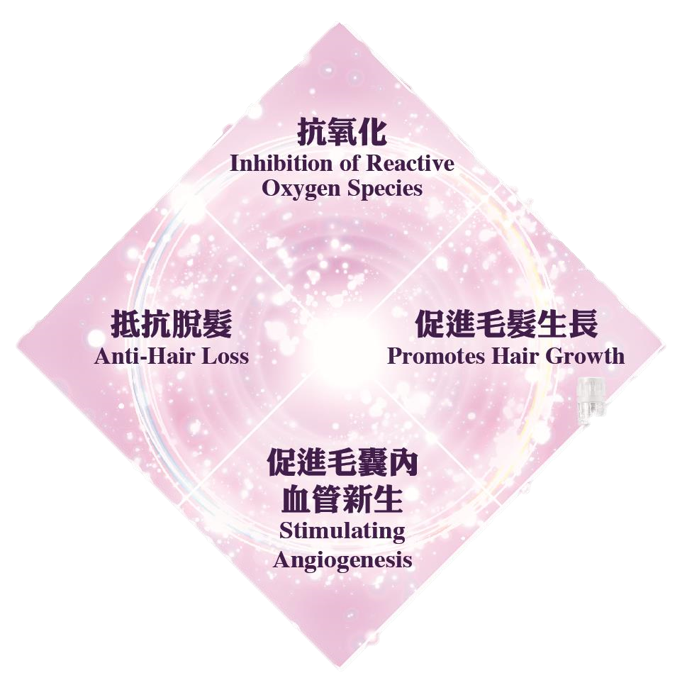 粉紅色菱形說明圖，中央為發光漩渦圖案，四周以中英對照文字標示抗氧化、抵抗脫髮、促進毛髮生長及促進毛囊內血管新生等項目